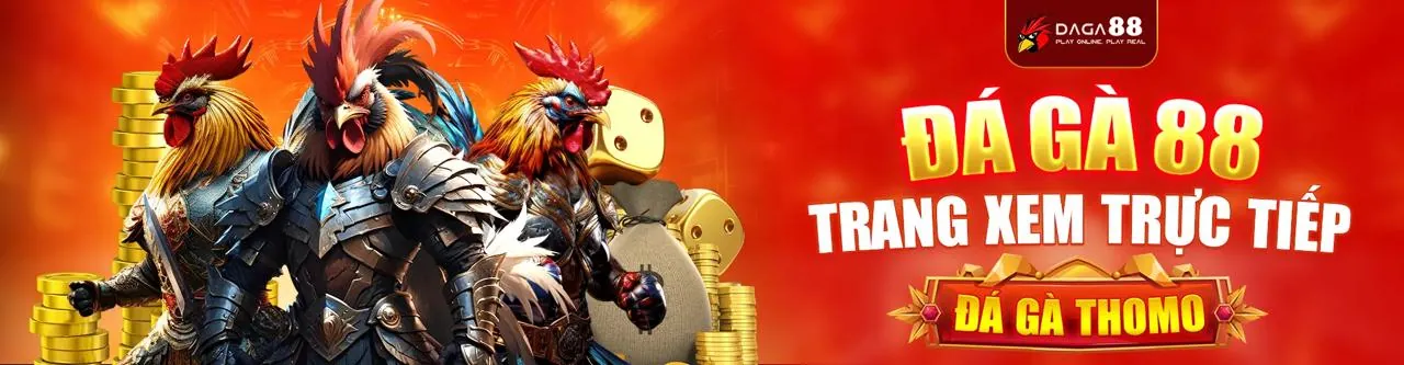 Đá gà trực tuyến tại 13wwin nhà cái